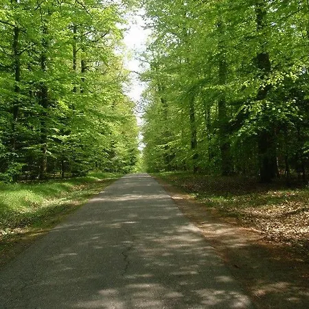 Gite Du Cerf Birkenwald Exterior photo