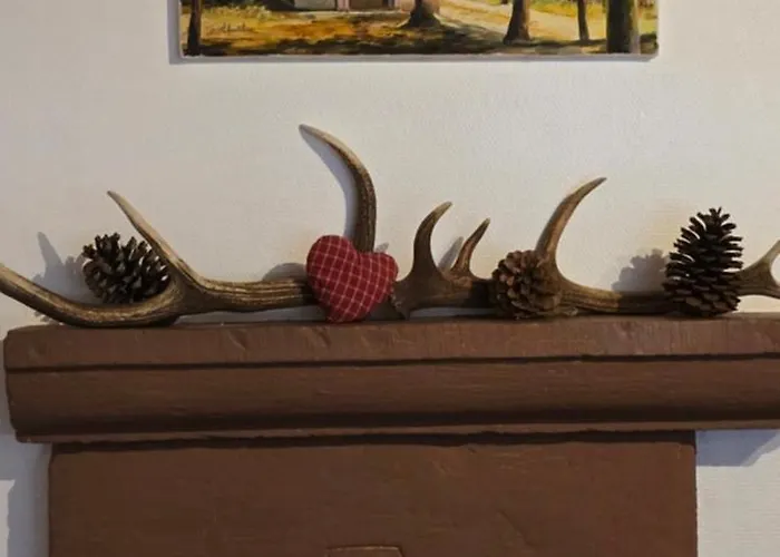 Gite Du Cerf