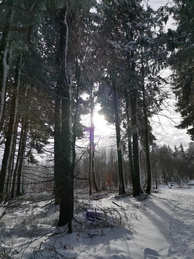 Du Cerf Holiday home Birkenwald